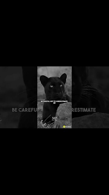 like, Share, Subscribe and Support 🔥🔥🔥💯 #subscribe #short #remember #truth