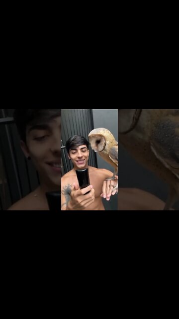 #shorts #2022 funny,prank,funjokes,dad jokes,funny memes,funny video,fun,laughing,funny animal,knock