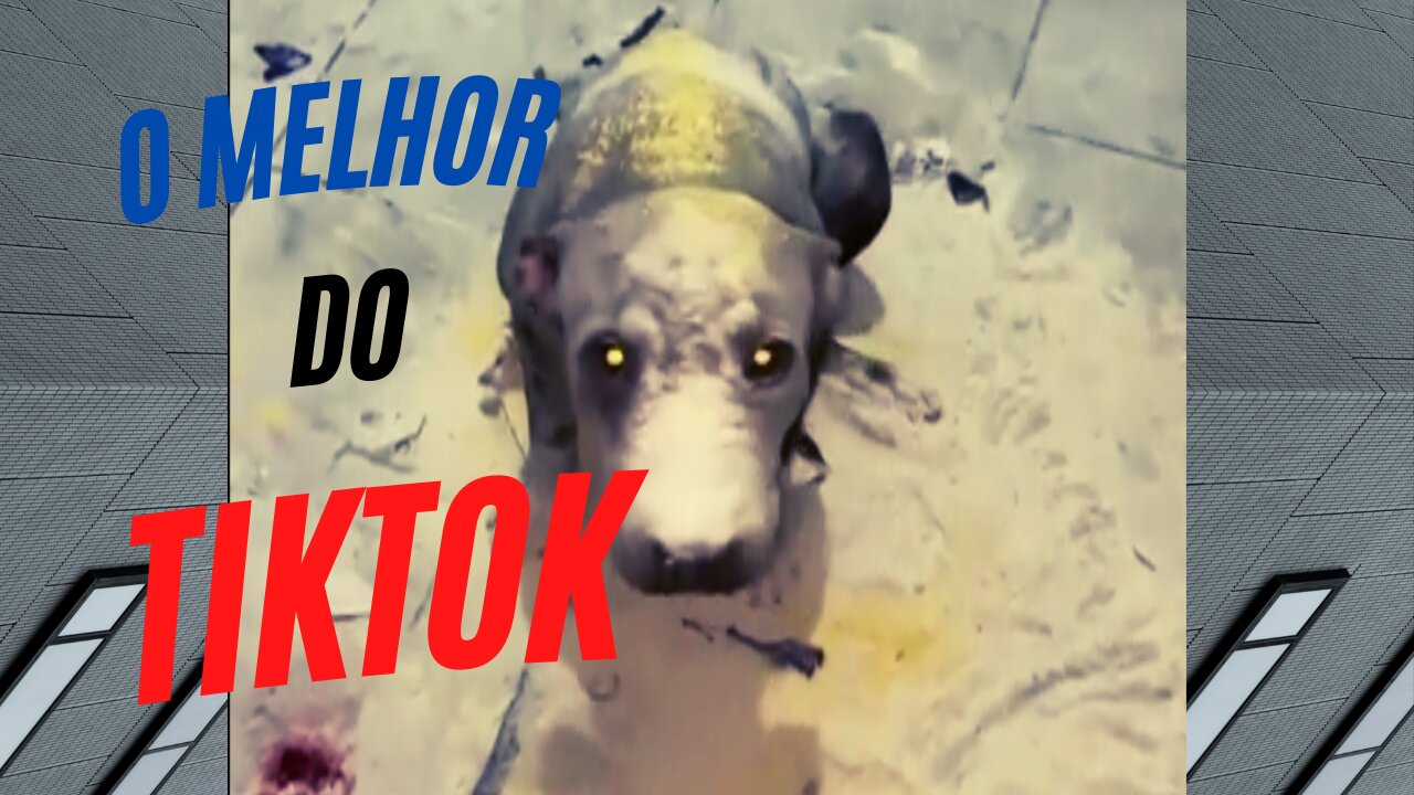 O melhor do TikTok #8