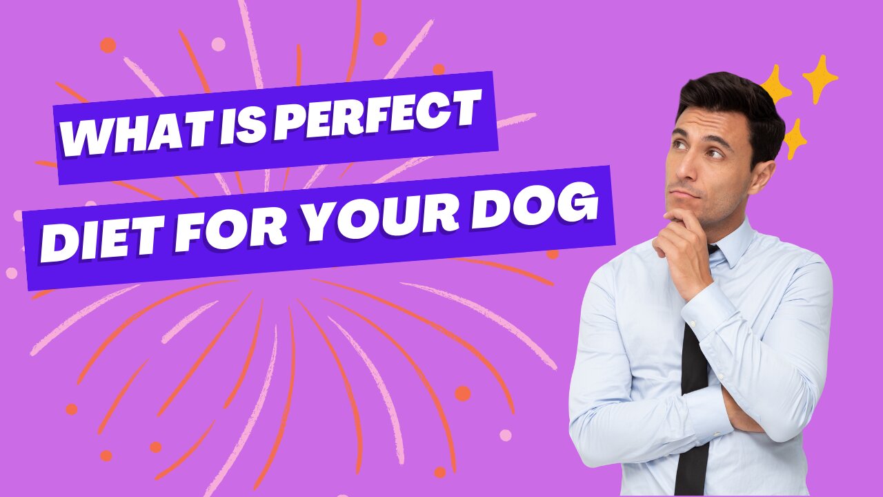 | What is perfect diet for your dogs?||