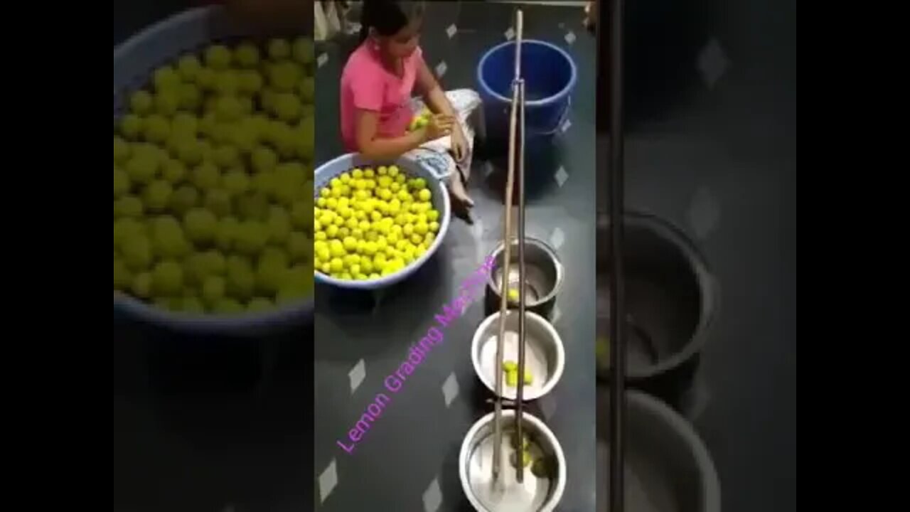 Smart Lemon Sorting Algorithm!