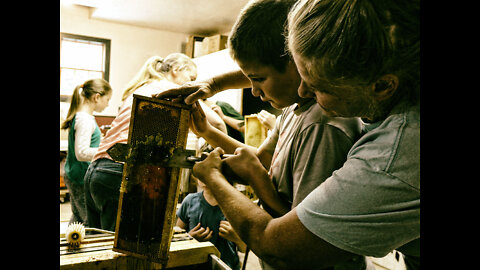 Honey Harvest at Linda's