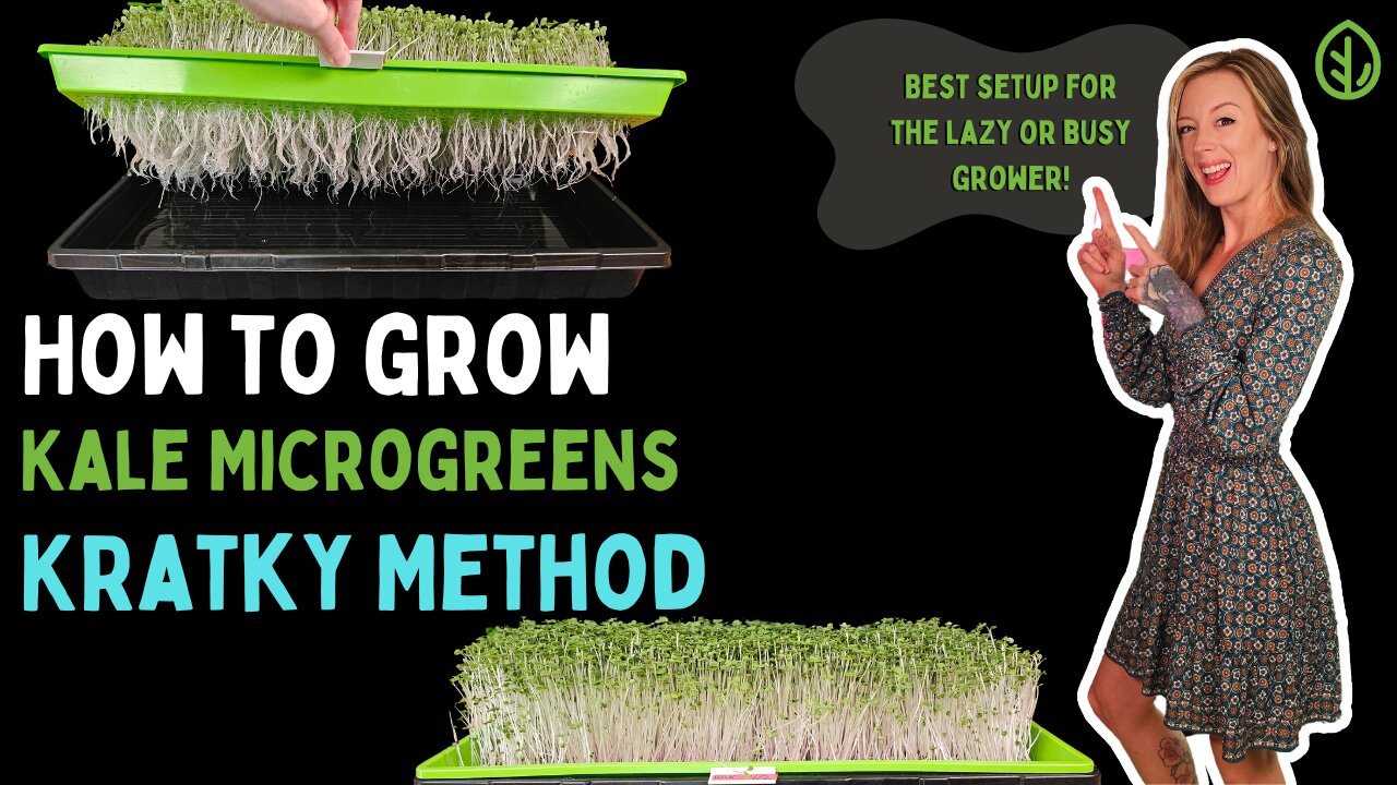 Easily Grow Kale Microgreens with Kratky Hydroponics