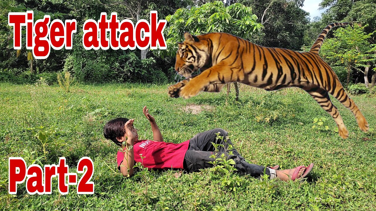 Tiger attack in man || Sher Ka Hamla insan per