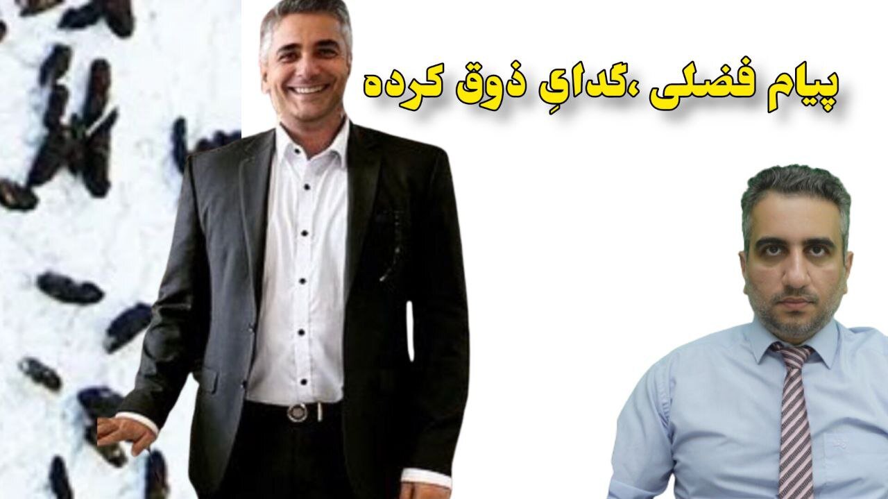 پیام فضلی ،گدایِ ذوق کرده