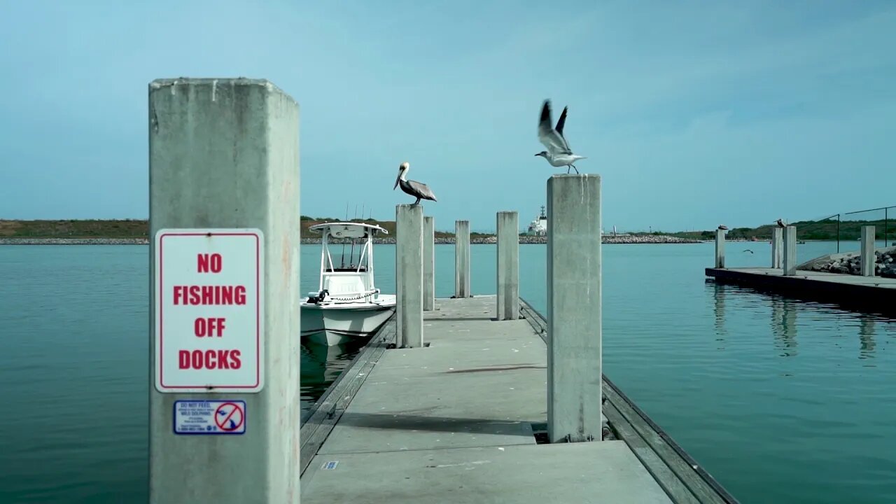 fishing: Port Canaveral Fla