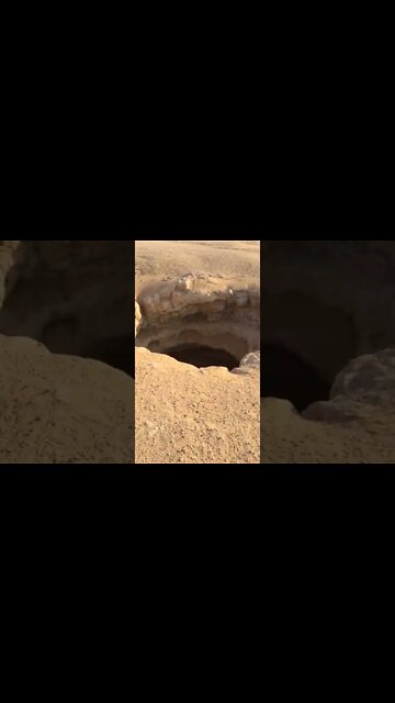 #shorts #2022 funny,prank,funjokes,dad jokes,funny memes,funny video,fun,laughing,funny animal,knock