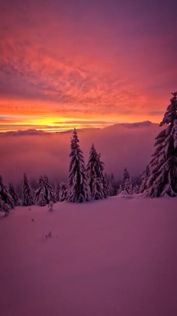 Nothing better than the real thing baby