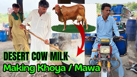 How To Make Organic Khoya or Mawa Of Desert Cow Milk