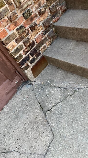 04/12/2023 MY FEELINGS ON ANHEUSER BUSH.