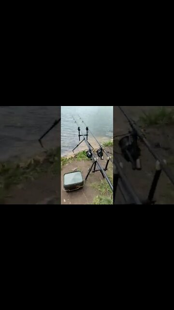 #shorts #2022 funny,prank,funjokes,dad jokes,funny memes,funny video,fun,laughing,funny animal,knock