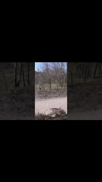 double jump... not intended tough lol