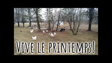 Le PRINTEMPS est arrivé! #267