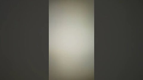 Call PETA on @The Truth Reloaded