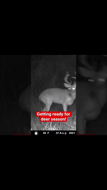 Getting ready for deer season! Moultrie delta cellular camera #moultrie