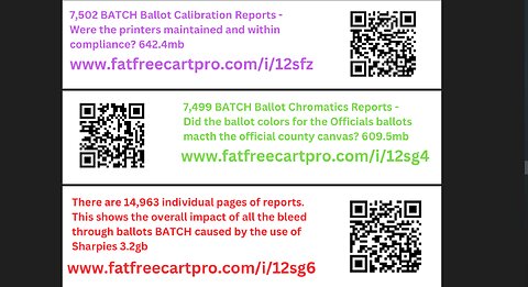 HOW PAPER AUDITS THE PEOPLE AND PROGRAMS USED IN ELECTIONS! Get The Facts