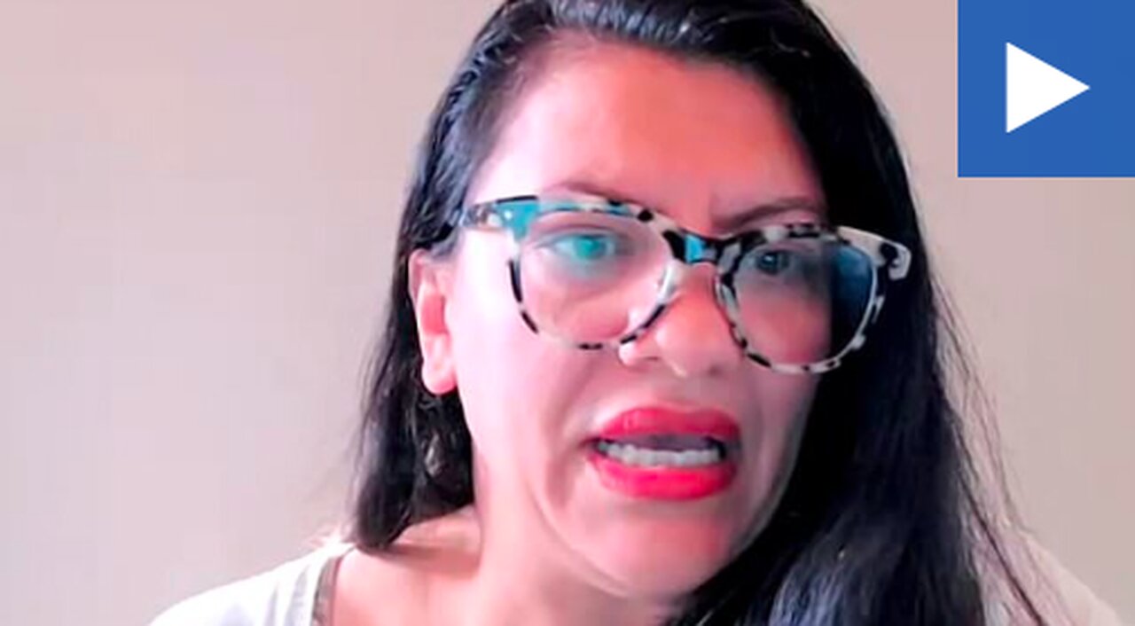 NATIONAL PUBLIC SERVANT RASHIDA TLAIB ENCOURAGES AGGRESSIVE ENVIRONMENTAL PROTESTS