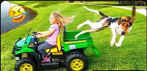 Funny Cats And Dogs Videos 😁 - Best Funny Animal Videos 2023 😅