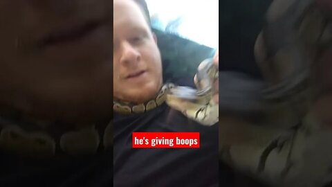 snake kisses