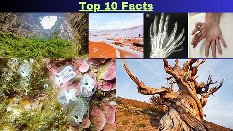 Top 10 Most Interesting Facts 🤯🧠