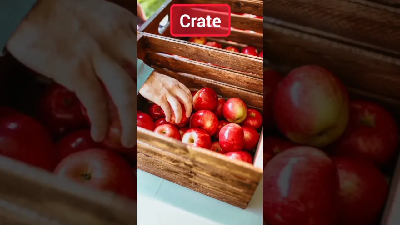 Different kinds of containers | vocabulary | #englishspeking #english #shortvideo #viral