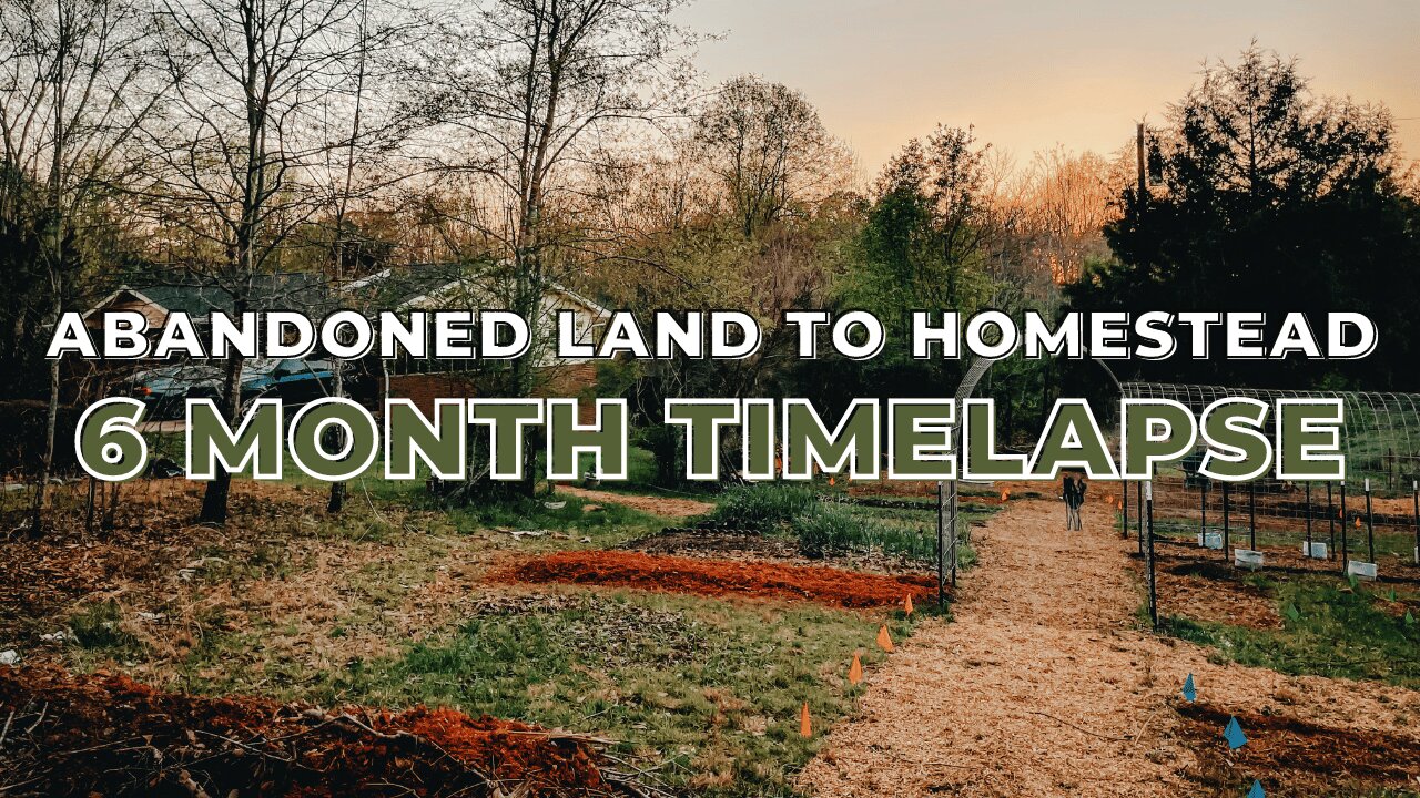 Our First 6 Months Homesteading | How We Made it Happen as Newbies