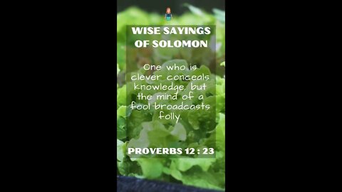 Proverbs 12:23 | Wise Sayings of Solomon