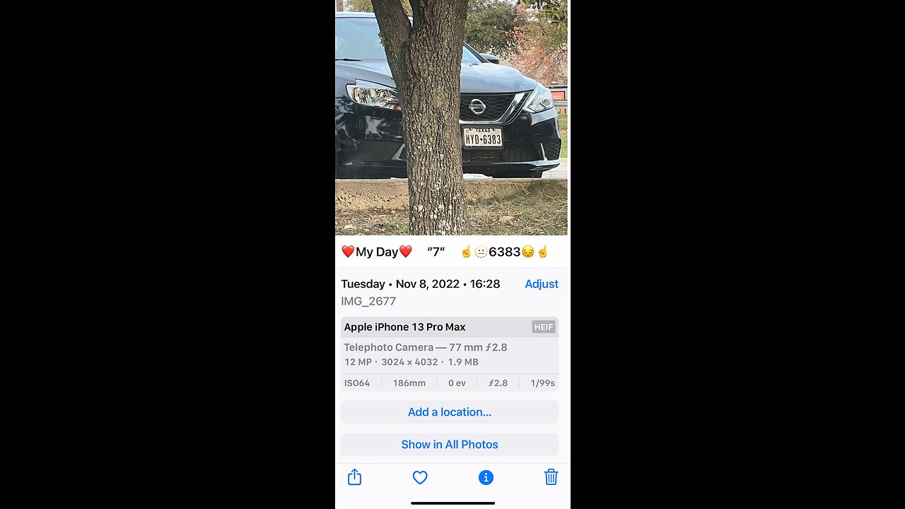 🎼❤️🫥🌞😔💔🎼