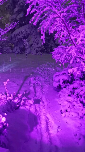 Holiday Decorations and Snow Storm ❄️🌨️❄️