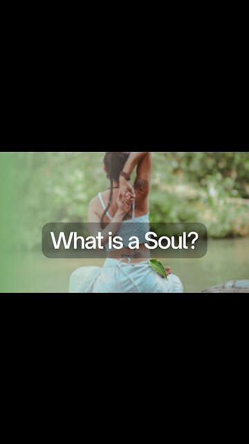 What is a Soul?