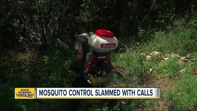 Mosquitoes are back in a bad way; your Mosquito Control can help you battle the blood-suckers