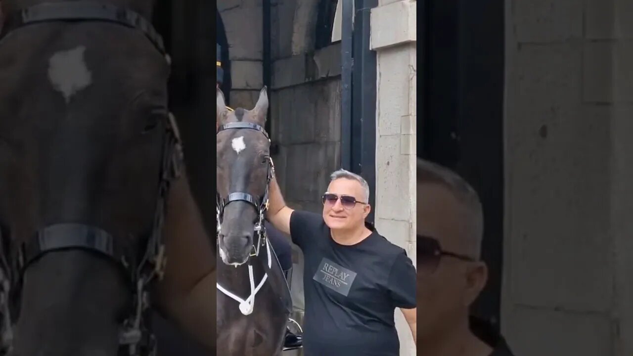 All over the horse #horseguardsparade