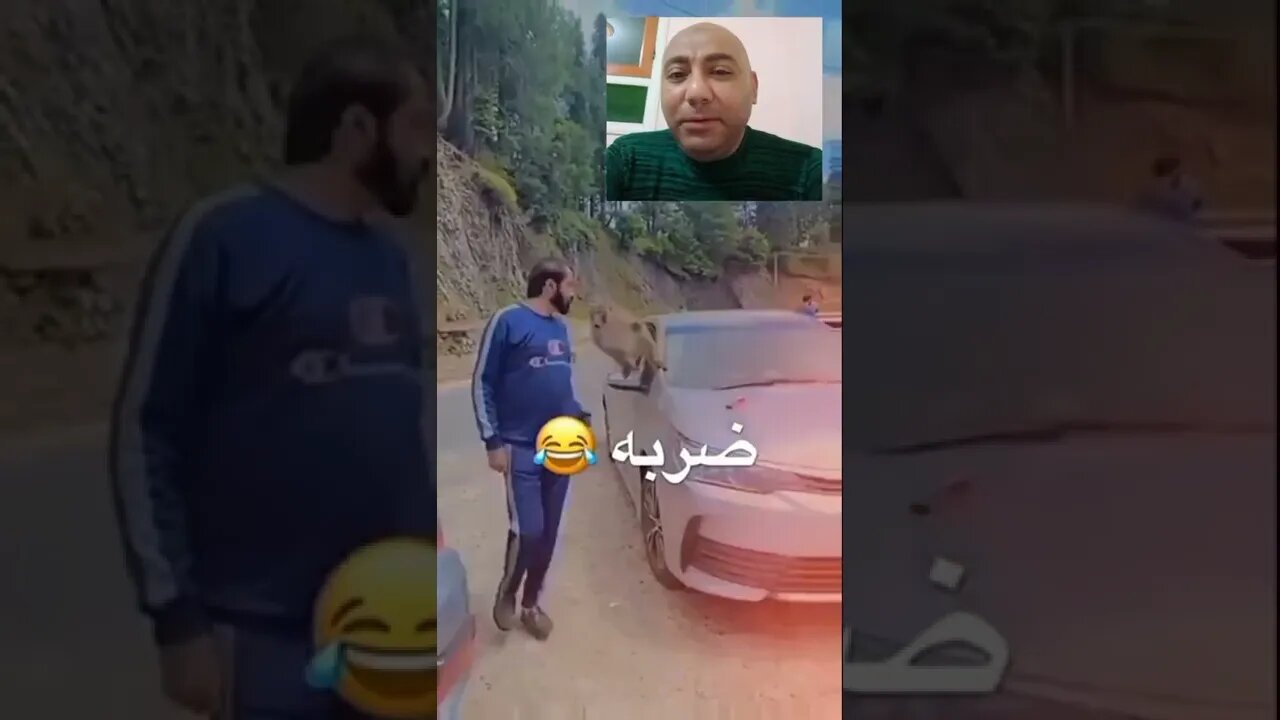 صاحبك اللي بيعمل مشاكل مع اللي رايح واللي جاي وديما يتضرب | #shorts ♥️