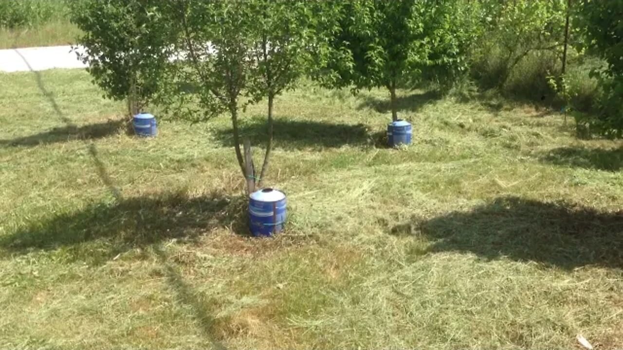Κοπή αγριόχορτων εξωτερικά με Μεσινέζα Κινεζικής Κατασκευής (2 Μέρος - Μετά την κοπή)