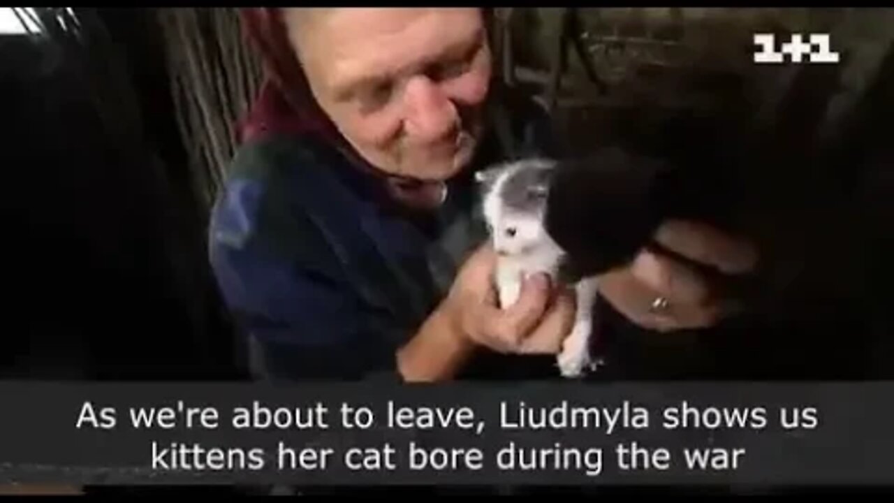 🇺🇦GraphicWar18+🔥"Bomb Schrapnel"Grandma(Babushka)Cleans Farm - Feeds Kittens - Kyiv Area, Ukraine CC