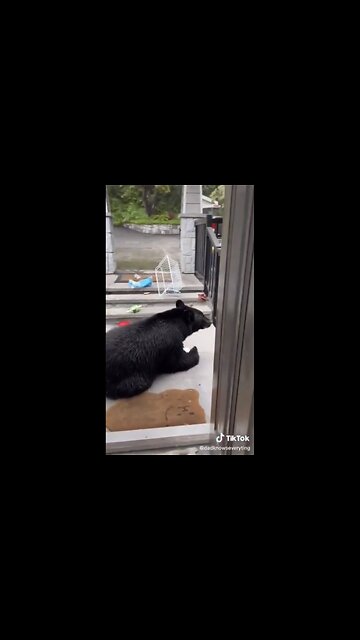 HOW ABOUT HAVING YOUR REFRIGERATOR PACKED WITH LOTS OF BEAR🤫🏡🐻💫