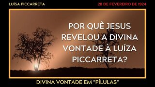 DIVINA VONTADE - POR QUÊ JESUS ESTABELECEU A DIVINA VONTADE?