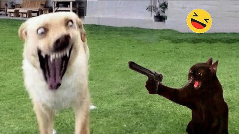 WORLD BEST FUNNIEST🤣 Dog vs men 🤣 funny video> Don't Try Laughing 🤣 clips