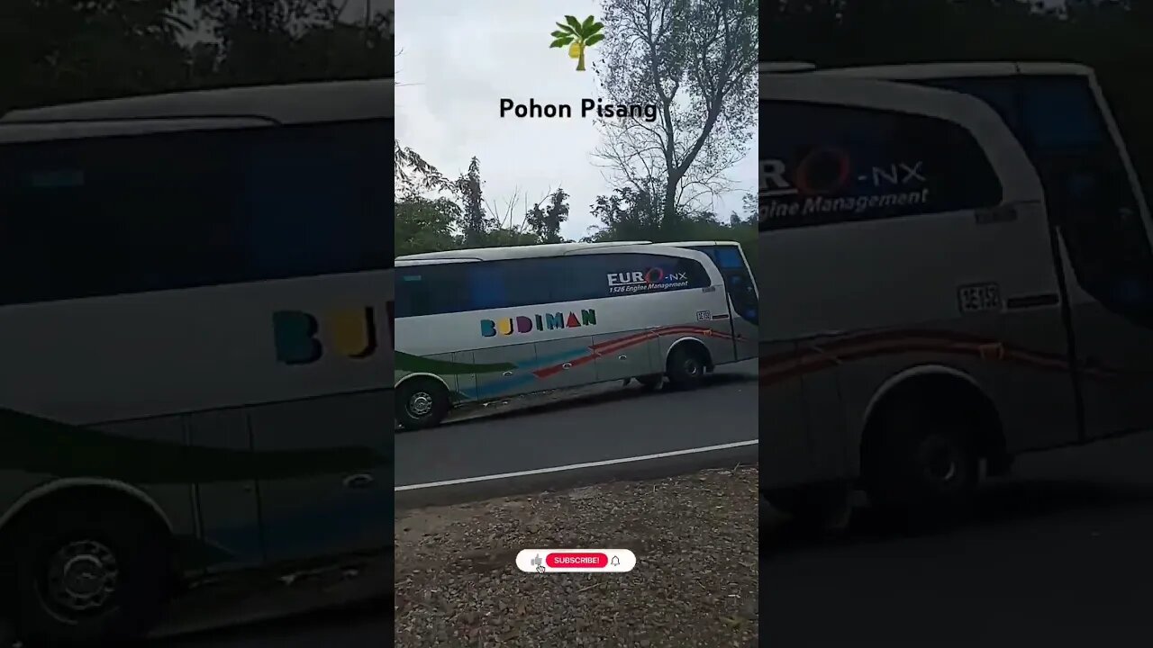 Bus Budiman Pangandaran Cikarang