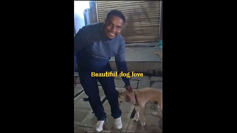 Beautiful dog love