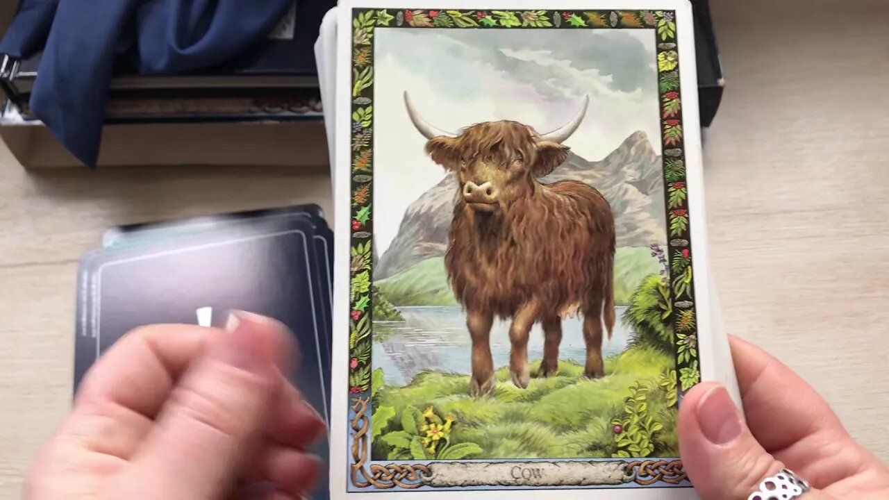 The Druid Animal Oracle walkthrough by Phillip and Stephanie Carr-Gomm