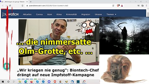 „Die nimmersatte Olm-Grotte, etc.!!!“ ...