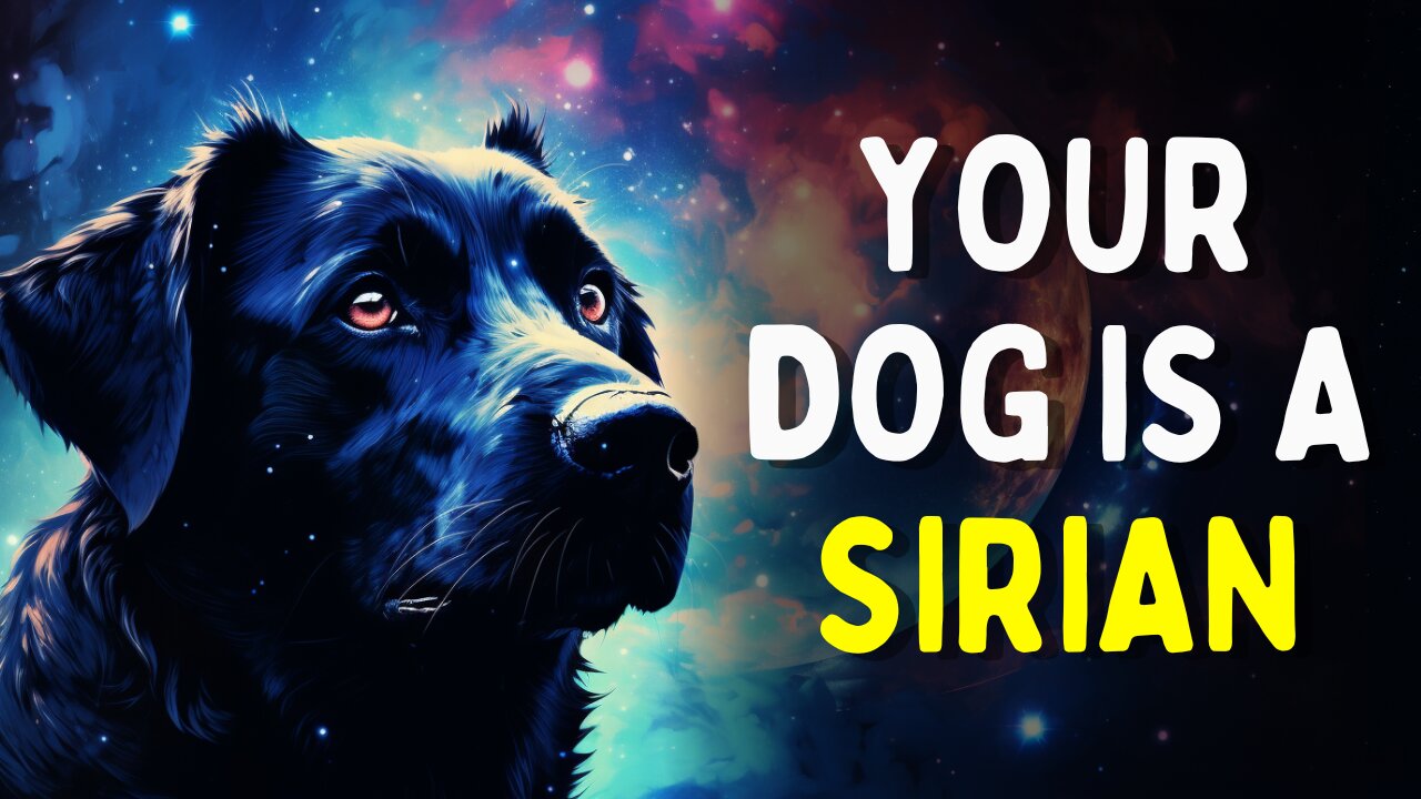 Your DOG Manifested YOU | The SECRET Spiritual SIGNIFICANCE of Dogs