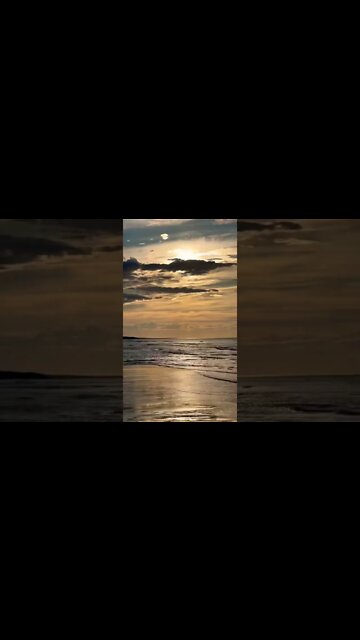 Swam to a sandbar at the beach