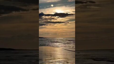 Swam to a sandbar at the beach