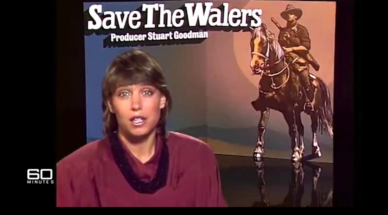 THE ‘WALER’ HORSES FACING MASS CULLING - 60 MINUTES AUSTRALIA 👊