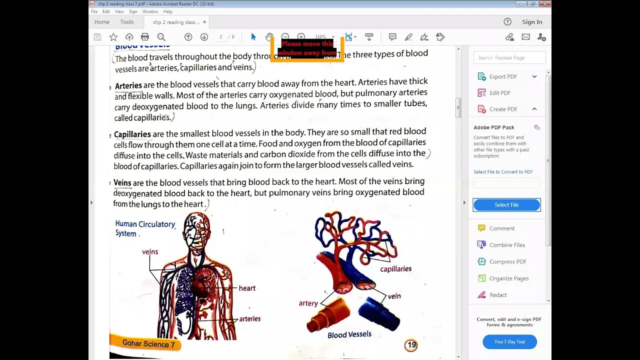 science class 7 20 04 2021