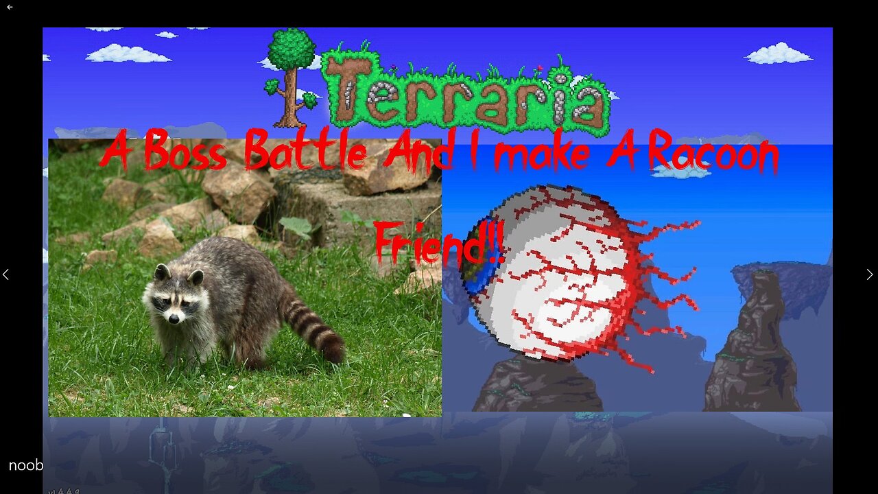 A Boss Battle And I make A Racoon Friend!!- A Noob In Terraria