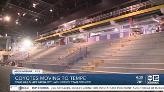 Coyotes moving to Tempe