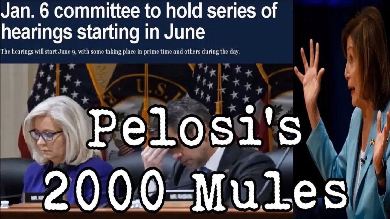Pelosi's 2000 Mules